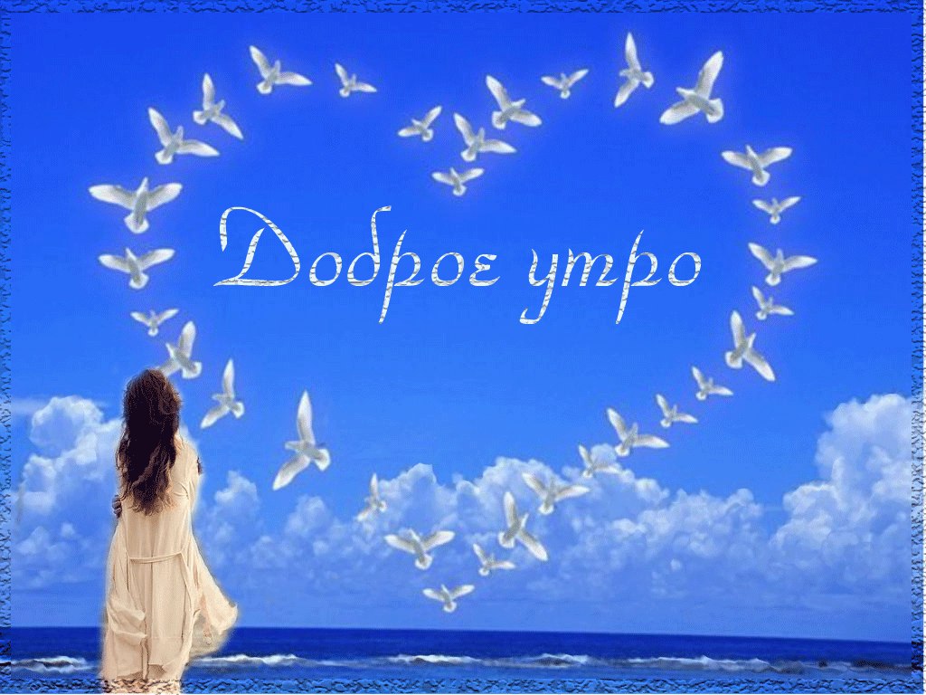   ,    . - 27  2019  22:05