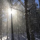 ���� �����, �����-��������� - ��������� 6 ������ 2019 � ������ ���� ����������