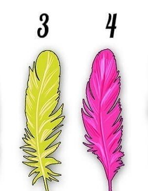 ����: �������� ������ � �������, ��� ��� ������� � ����� ��������.������ � �������������������? - 2