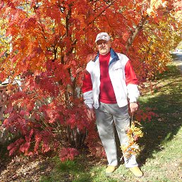 ���������, ��������, 65 ���