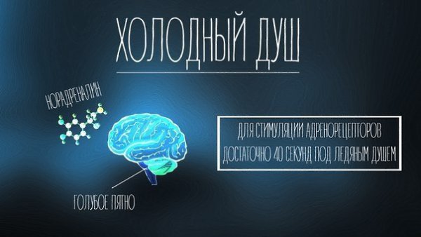 Нейробиологические советы по поднятию настроения. - 5
