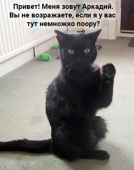 : 