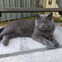 ���� �������, ����������, 40 ��� - ��������� 13 ������ 2019