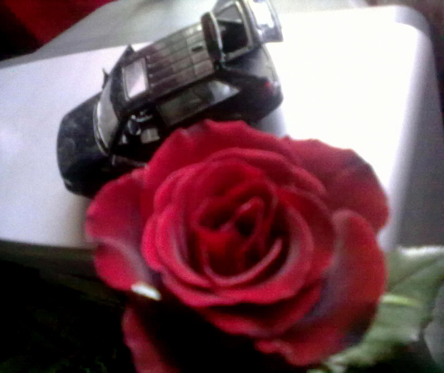 ���� �� �������� �� ����? ������ �� �����? ����� ��� ����� ����? ����� ����� �����, � ����� ��� �� ... - 3