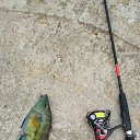 ���� ���� �� ������� ������� �� ������� ���� 05.19�