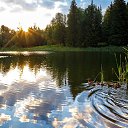  , , 48  -  15  2019   .