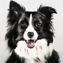 ���� Lara, ������� - ��������� 7 ��� 2019 � ������ �������