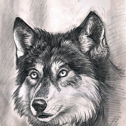 ���� �������, �����, 55 ��� - ��������� 19 �������� 2019