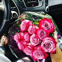 ���� �����, ������ - ��������� 29 ���� 2019 � ������ ������ ��������