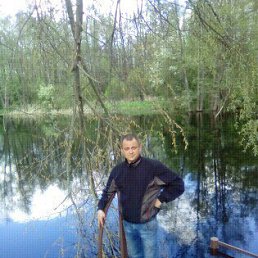 Evenii, �������, 43 ����