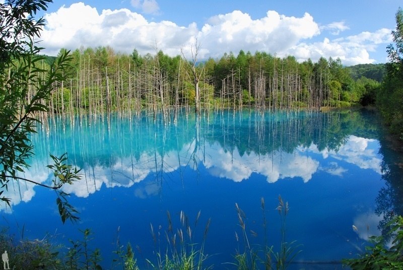    (Blue Pond Biei)    ,    ... - 6