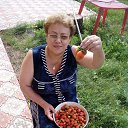 ���� ������, ���, 69 ��� - ��������� 20 ������� 2020 � ������ ���� ����������