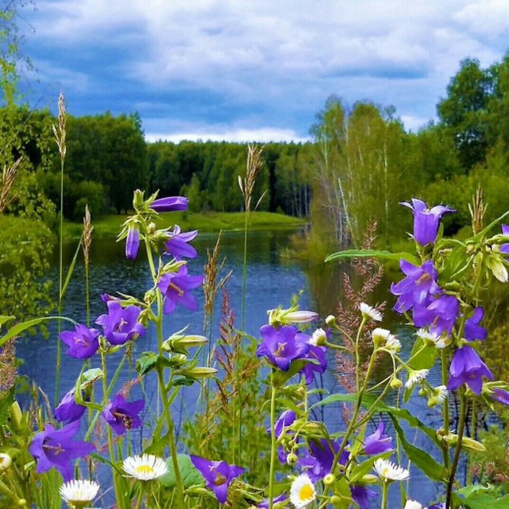   ,    . - 10  2020  21:17 - 4