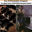 ���� �����, ����� - ��������� 6 ���� 2020 � ������ ������ ��������