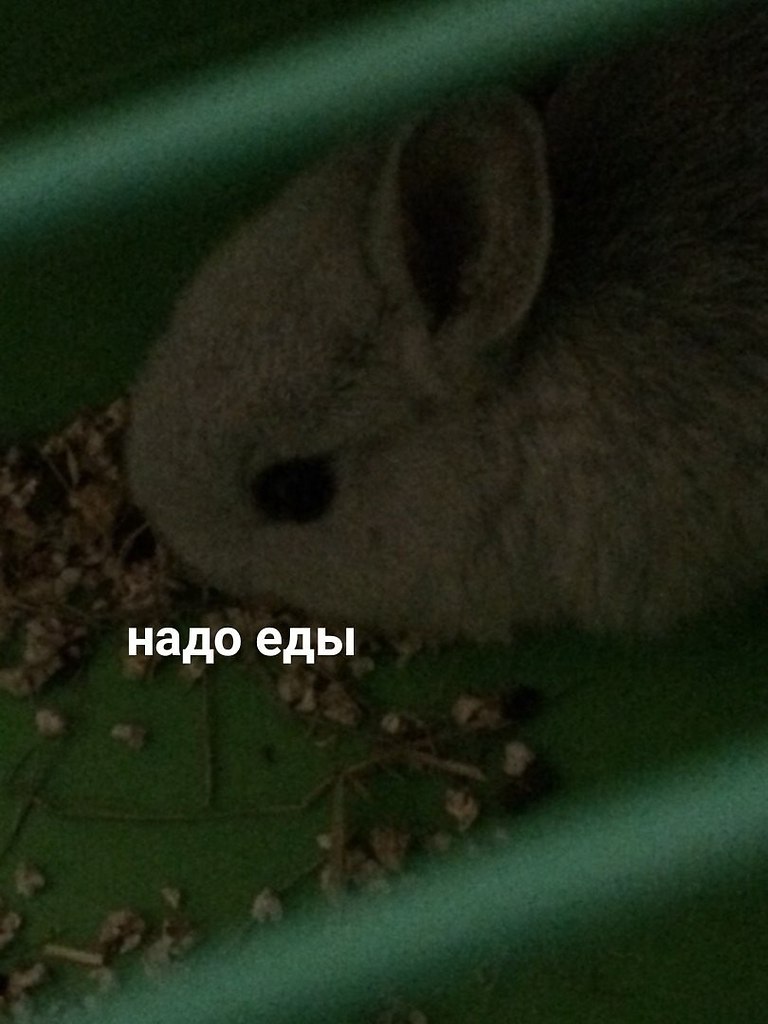      - - 4