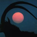 ���� Aimee, ���� - ��������� 16 ��� 2020 � ������ ���� ����������