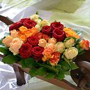 ���� ___����, �������� - ��������� 18 ���� 2020 � ������ �������