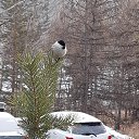 ���� �������, �����, 51 ��� - ��������� 13 ������� 2020 � ������ ���� ����������