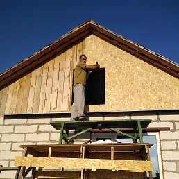 ������, ������, 54 ����