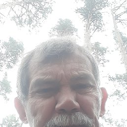 Oleg, ������, 65 ���