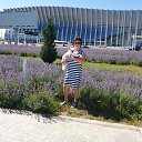 ���� �������, �����������, 66 ��� - ��������� 20 ���� 2020 � ������ ���� ����������