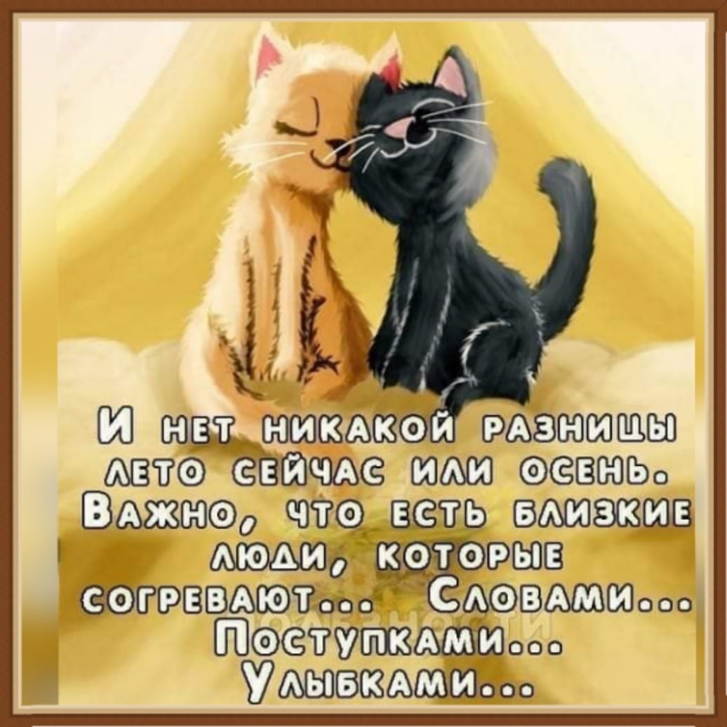 ������� - 27 ���� 2020 � 15:15