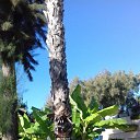 ���� �������, �����-���������, 65 ��� - ��������� 7 ������� 2020 � ������ ���� ����������