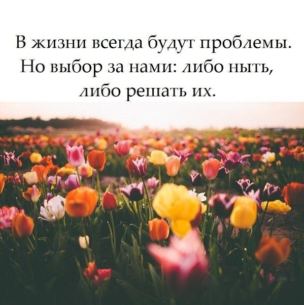   . . . - 26  2020  18:36