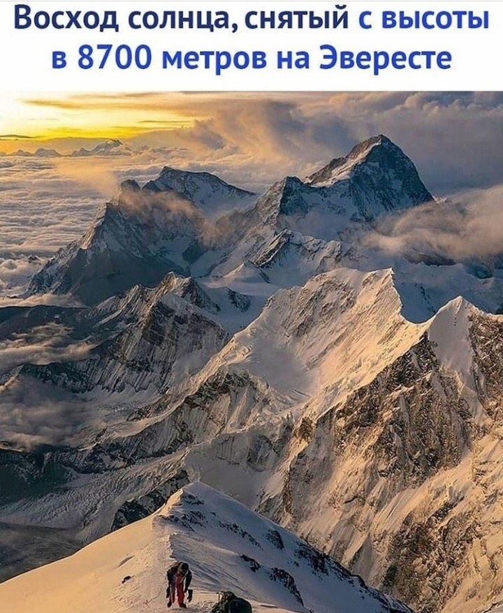 LIFE -  - 9  2020  19:06