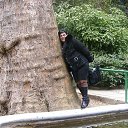 ���� ���������, ����������� - ��������� 21 ������ 2020