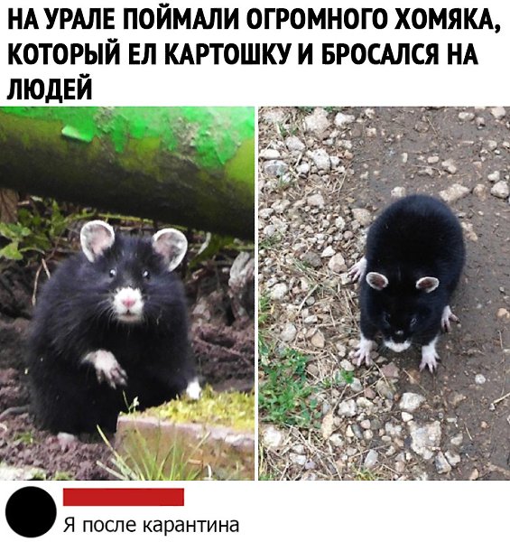    ר! - 20  2020  14:29