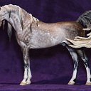 ���� ����, �����-���������, 55 ��� - ��������� 24 ����� 2020 � ������ ���������� �������