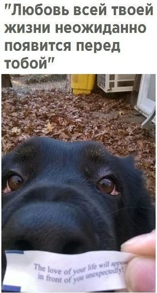 ������� - 26 ����� 2020 � 18:31