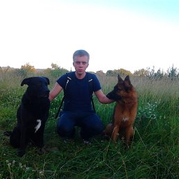 ���� �����, ���������, 35 ��� - ��������� 17 ����� 2020