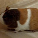 ���� Olga, ��������� - ��������� 29 ������ 2020 � ������ ������ ��������