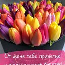���� ������, ���������� �����, 61 ��� - ��������� 30 ����� 2020 � ������ ���� ����������