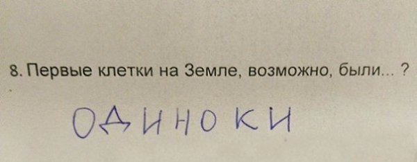 Когда учишься в младших классах, но уже познал жизнь - 8