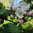 ���� ��������, Kouvola, 78 ��� - ��������� 2 ���� 2020 � ������ ������