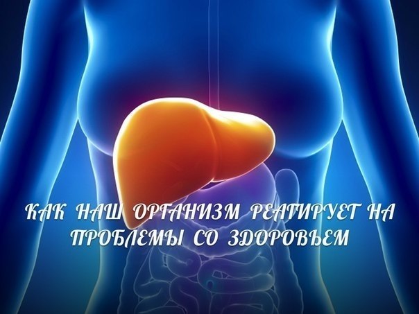 КАК НАШ ОРГАНИЗМ РЕАГИРУЕТ НА ПРОБЛЕМЫ СО ЗДОРОВЬЕМ. Потрескавшиеся губы Если наряду с трещинками на ...