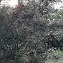 ���� ��������, ������, 64 ���� - ��������� 21 ���� 2020 � ������ ������ ��������