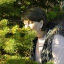 ���� �����, ������ - ��������� 8 ������ 2020