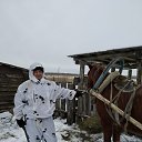 ���� ������, �����������, 38 ��� - ��������� 7 ������ 2020 � ������ ���� ����������