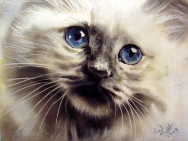     Paul Knight))) - 8