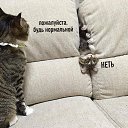 ���� ����, �����-���������, 47 ��� - ��������� 21 ���� 2020 � ������ �������� ��� ���...�