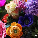 ���� ___����, �������� - ��������� 18 ���� 2020 � ������ �������