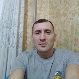 �������, ���������, 43 ����