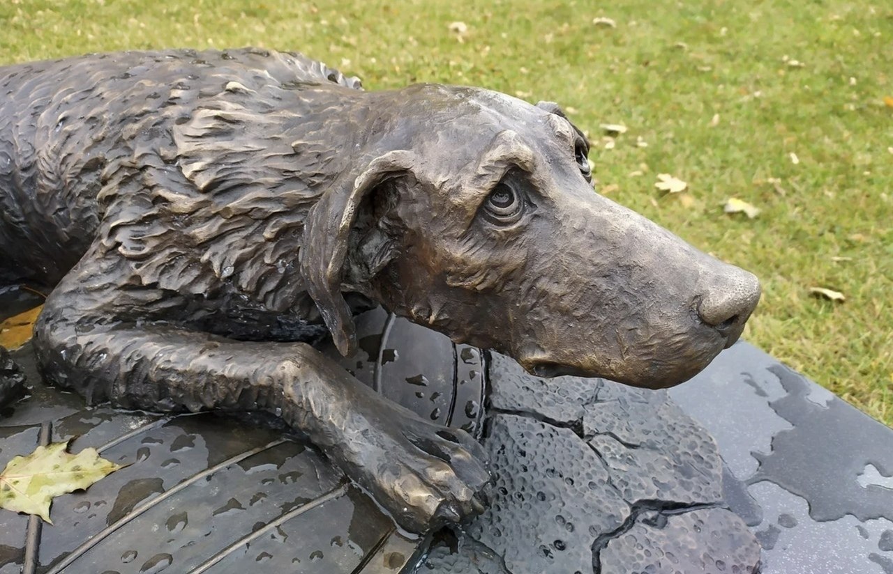 Памятник собаке барри. Памятник собаке лайке первому космонавту. Памятник собаке петроверигский. Смешные памятники собак. Памятник бездомной собаке в москве музеон.