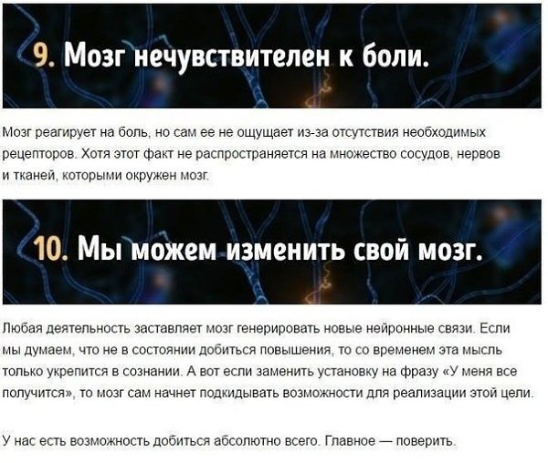 мы даже не догадываемся о работе и способностях нашего мозга - 5