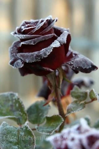   - 3