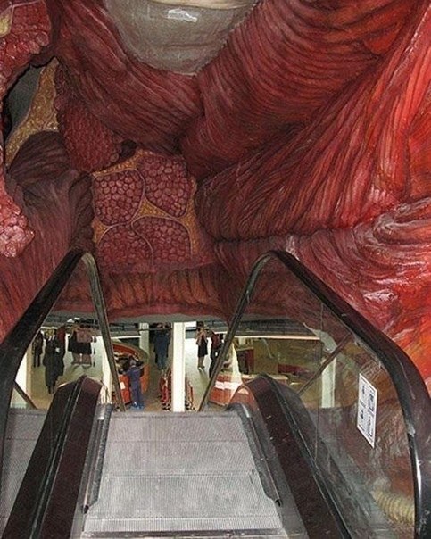  -museum |mjuzim|. Corpus   -     - 4